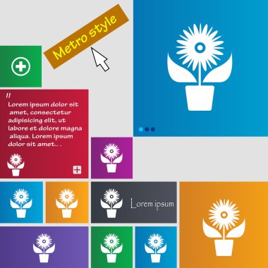 Flowers in pot icon sign. Metro style buttons. Modern interface website buttons with cursor pointer. Vector