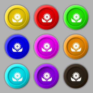 Bouquet of flowers with petals icon sign. symbol on nine round colourful buttons. Vector