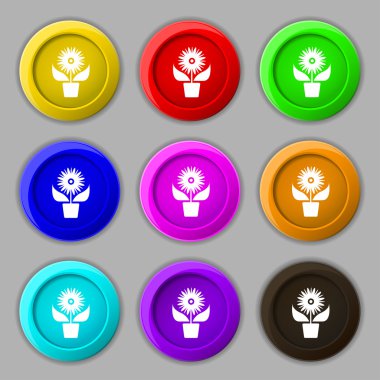 Flowers in pot icon sign. symbol on nine round colourful buttons. Vector