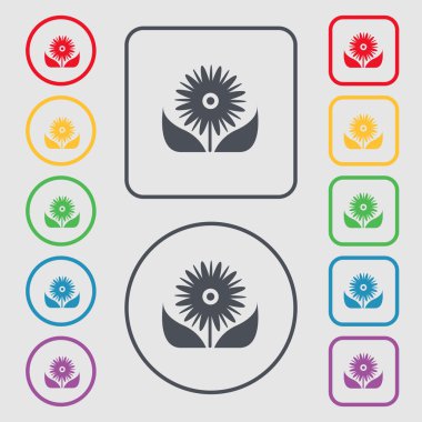 Bouquet of flowers with petals icon sign. symbol on the Round and square buttons with frame. Vector