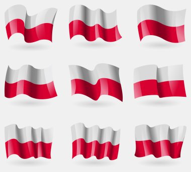 Havadaki Polan bayrakları kümesi. Vektör