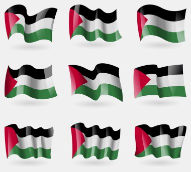 Palestine bayraklar havada kümesi. Vektör