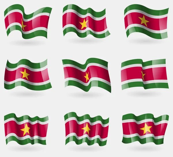 Набор Суридамских флагов в воздухе. Вектор — стоковый вектор