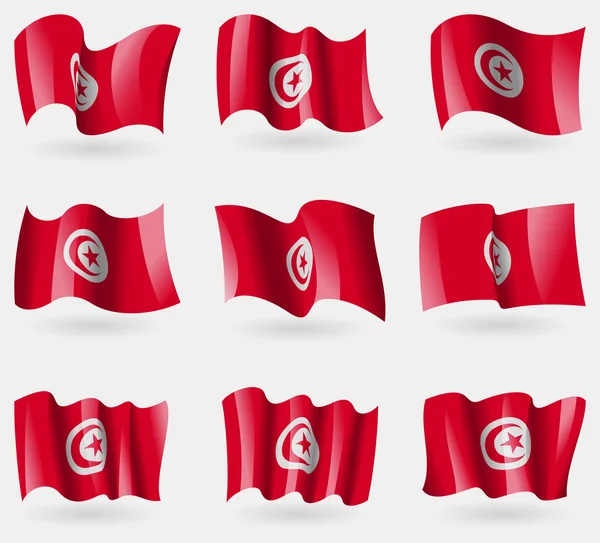 Conjunto de bandeiras Tunísia no ar. Vetor — Vetor de Stock