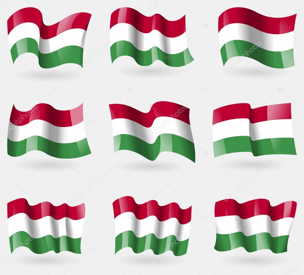 Set of Hugary flags in the air. Vector