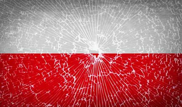 Banderas Polonia con textura de vidrio roto. Vector — Vector de stock