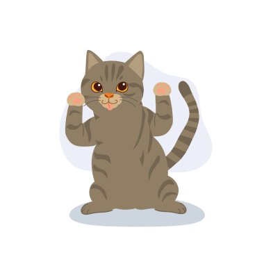 happy gray tabby kitten with raised paws adorable american shorthair character for kids design and animal clipart collections