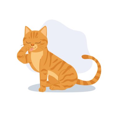 a cute orange tabby cat sits calmly licking its paw. an adorable orange kitten grooming itself