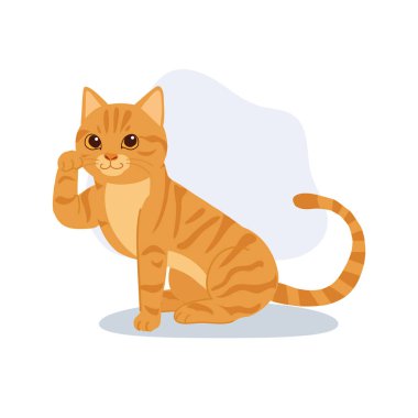 Sevimli turuncu tekir kedi oturuyor ve el sallıyor. Pençeli kedi oturuyor.