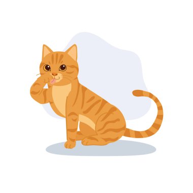 Zencefilli kedi yavrusu kendini tımar ediyor. turuncu tekir kedicik oturuyor ve pençelerini temizliyor.