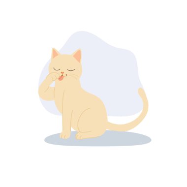 a cute beige cat licking its paw at home, showing calm grooming behavior in a minimalist flat design style suitable for pet and lifestyle concepts