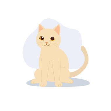 cute sitting kitten white cat for pet lovers animal icons and minimalist flat art collections
