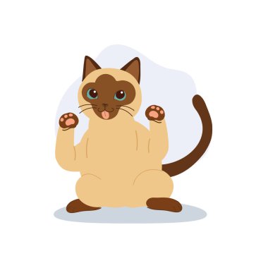 Pençeleri havada ve dili dışarıda şakacı bir şekilde oturan sevimli siyam kedisi. Tebrik kartı afişleri için çıkartmalar