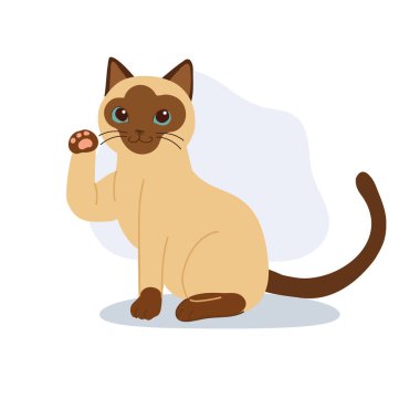 a cute siamese cat illustration showing a waving paw. a friendly domestic cat with blue eyes