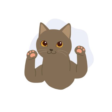 Şirin gri kedi. Hayvan severler ve hayvan temaları için kaldırılmış pençeleri olan neşeli kahverengi bir kedi yavrusu.