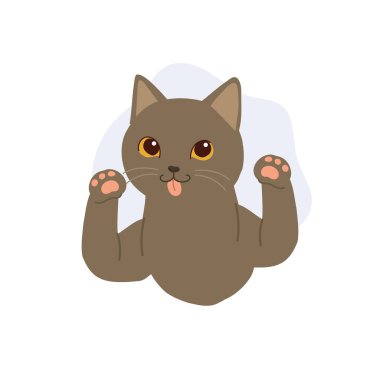 Dilini çıkarıp pençelerini kaldırmış sevimli gri kedi. Neşeli kedi yavrusu. Etiketler için emoji evcil hayvan logoları