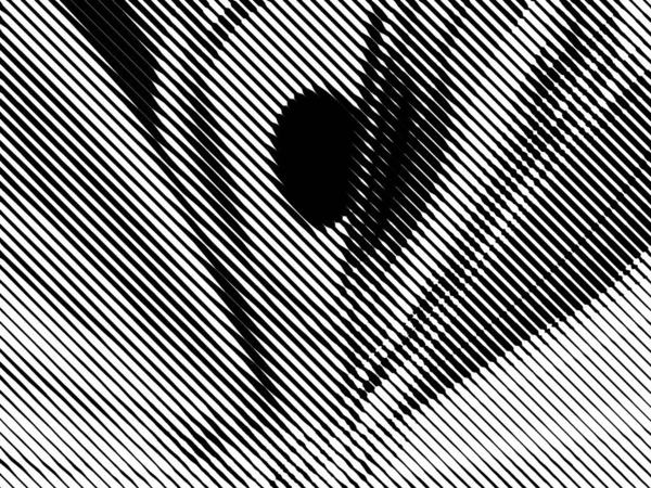 Fundo Abstrato Monocromático Padrão Preto Branco Textura Meio Tom — Fotografia de Stock