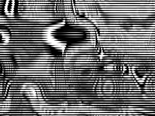Monochrom Abstrakter Hintergrund Schwarz Weißes Muster Halbtonbeschaffenheit — Stockfoto