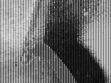 Tek renkli soyut bir arkaplan. Siyah ve beyaz desenli. Yarı renkte. Poster, broşür, broşür, broşür ve kart için yaratıcı karanlık grafik tasarımı. Ağ, kumaş ve örtü için arkaplan.