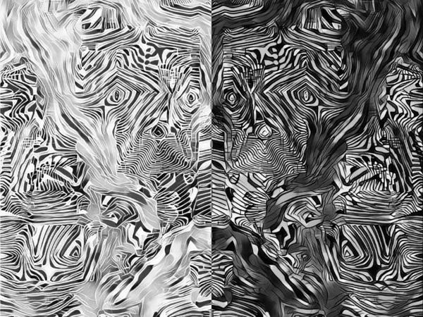 Simetri Yansıma Tek Renkli Soyut Bir Arkaplan Siyah Beyaz Desenli — Stok fotoğraf