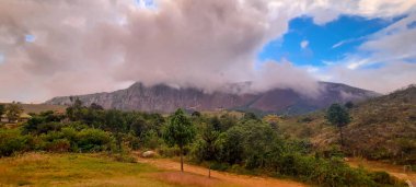 Mulanje Dağı 'ndaki Orman.