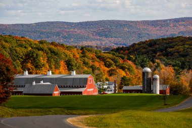 Pine Plains, NY USA  Farm buildings in the fall landscape. clipart