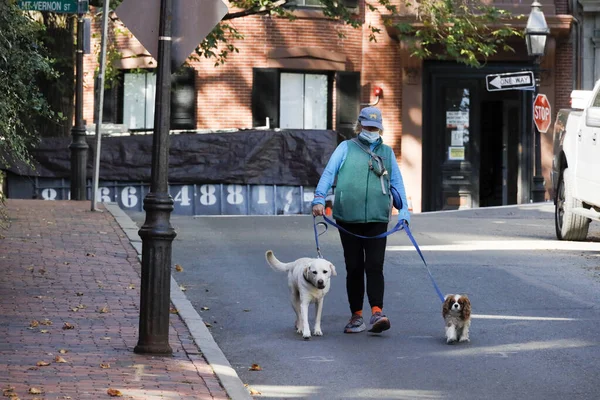 Boston Massachusetts Passeador Cães Rua Joy Centro Histórico Cidade Beacon — Fotografia de Stock