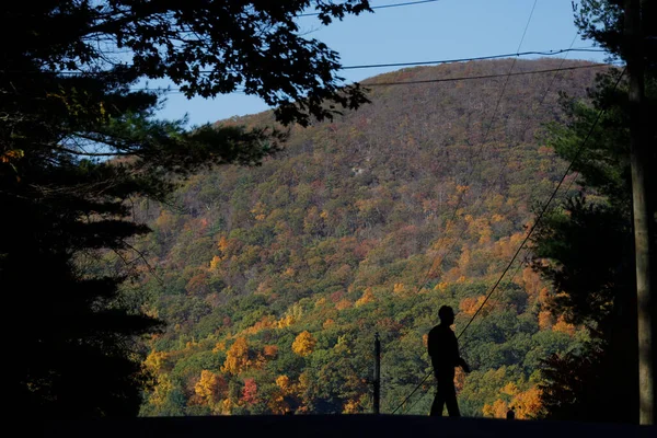 康沃尔 一个男人在一个人物形象的道路上 树叶飘落 秋天色彩斑斓 — 图库照片