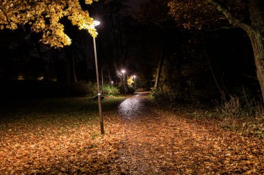 Stockholm, İsveç Sonbahar gecesinde ıslak bir patika.