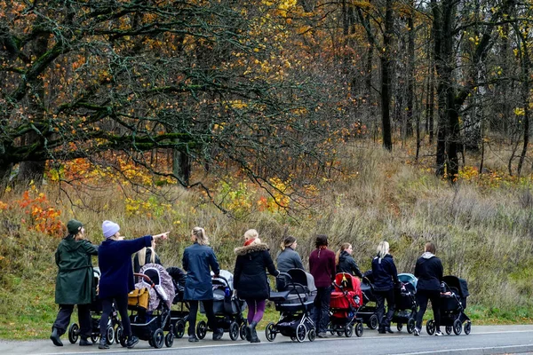 Estocolmo Suécia Grupo Mães Passeando Parque Com Seus Bondes — Fotografia de Stock