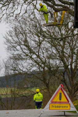 Harkeberga, İsveç yol kenarında bir ağaç kesicisi ve İsveççe 