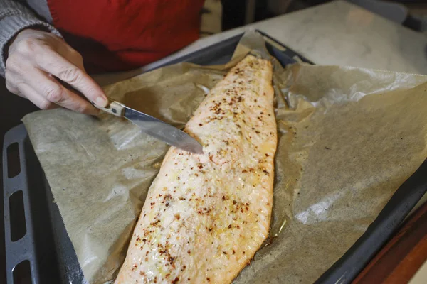 Comprueba Que Salmón Horno Esté Bien Cocido —  Fotos de Stock