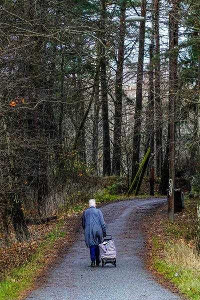 Стокгольм Швеция Женщина Идущая Лесной Дорожке Корзиной — стоковое фото