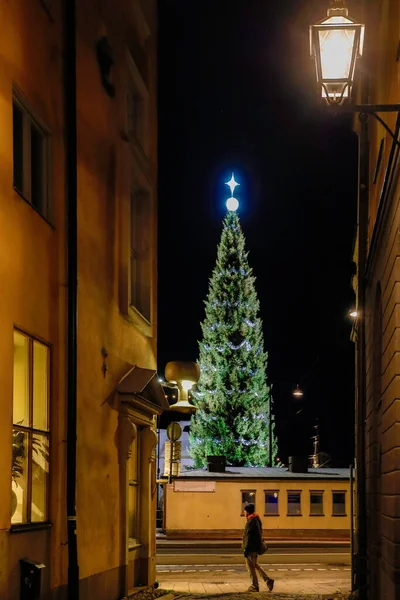 Stockholm Svédország December 2020 Egy Nagy Karácsonyfa Skeppsbron Gamla Stan — Stock Fotó