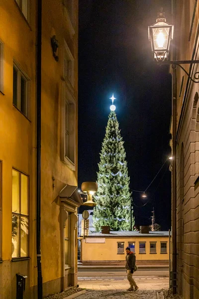 Стокгольм Швеція Грудня 2020 Велика Різдвяна Ялинка Скепсброні Гамла Стен — стокове фото