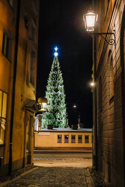 Stockholm Svédország December 2020 Egy Nagy Karácsonyfa Skeppsbron Gamla Stan — Stock Fotó