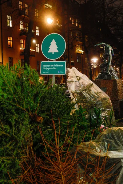 Stockholm Svédország Egy Újrahasznosító Állomáson Halmozott Kidobott Karácsonyfák Egy Svéd — Stock Fotó