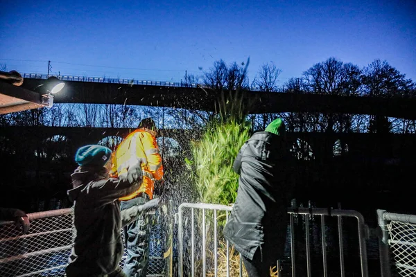Stockholm Zweden Ambtenaren Van Stad Lozen Kerstbomen Waterwegen Een Broedplaats — Stockfoto