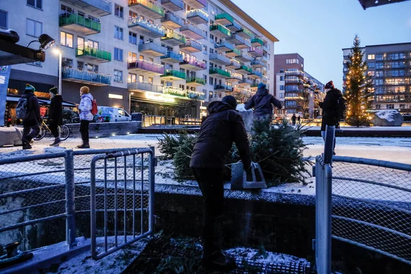 Stockholm Švédsko City Úředníci Nakládající Vánoční Stromky Loď Hodit Vodních — Stock fotografie