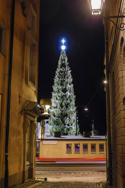 Estocolmo Suécia Uma Grande Árvore Natal Skeppsbron Gamla Stan Old — Fotografia de Stock