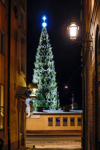 Estocolmo Suécia Uma Grande Árvore Natal Skeppsbron Gamla Stan Old — Fotografia de Stock