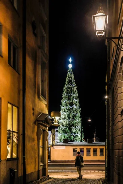 Stockholm Svédország Egy Nagy Karácsonyfa Skeppsbron Gamla Stan Vagy Óváros — Stock Fotó