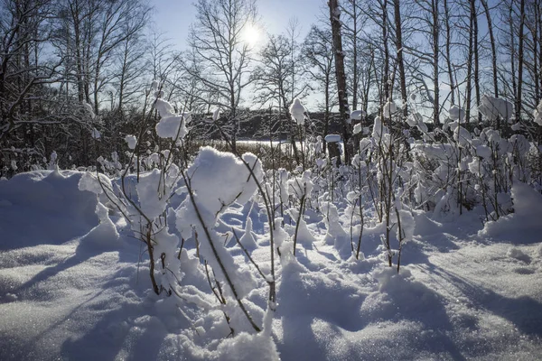 Stockholm, Sweden A winter landscape on the Faringso island on Lake Malaren.