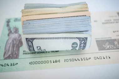 Başkan Trump 'ın Ekonomik Darbe Ödemesi için Vergi Dairesi çeki.