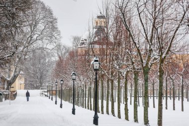 Stockholm, İsveç Karda Drottningholm Kraliyet Sarayı 'nda bir kişi tek başına yürüyor..