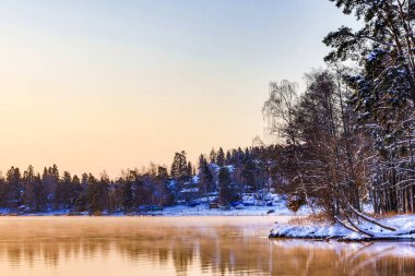 Sodertalje, İsveç Baltık Denizi kıyıları sabahın erken saatlerinde sisli.