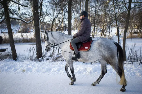 Estocolmo Suécia Jovem Monta Cavalo Caminho Nevado Norra Djurgarden — Fotografia de Stock