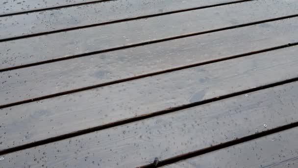 Rain Falling Wooden Deck — Stock Video