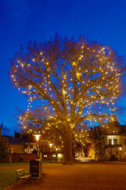 Lund, İsveç geceleri katedral parkında büyük aydınlatılmış bir ağaç..