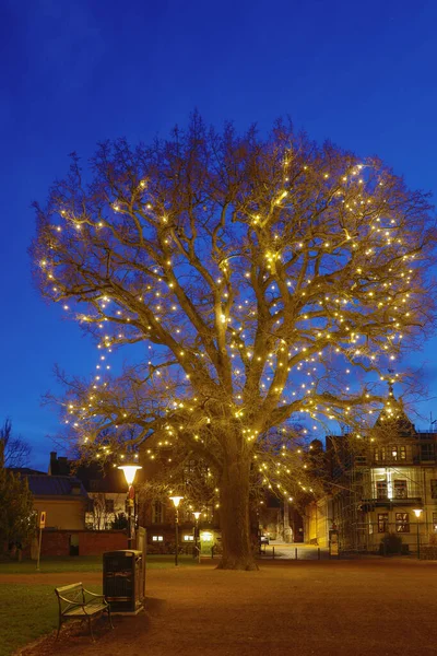 Lund Sveç Geceleri Katedral Parkında Büyük Aydınlatılmış Bir Ağaç — Stok fotoğraf